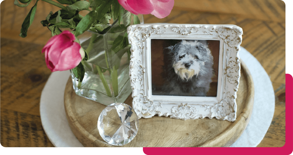 Beerdigung Haustier freier Redner